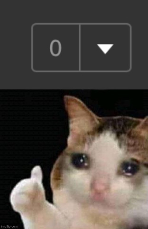 image tagged in sad thumbs up cat,imgflip,fun stream,fresh memes,sad | made w/ Imgflip meme maker