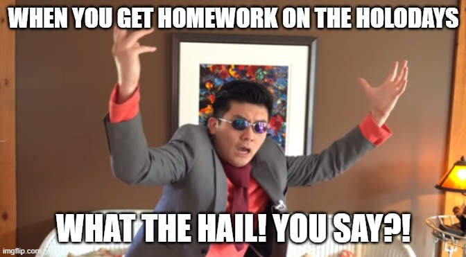 What the HAIL! | WHEN YOU GET HOMEWORK ON THE HOLODAYS; WHAT THE HAIL! YOU SAY?! | image tagged in what the hail | made w/ Imgflip meme maker