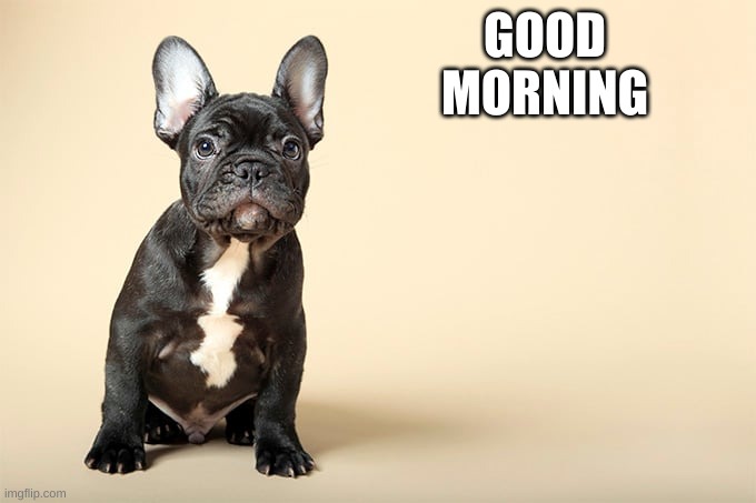 KSDawg | GOOD MORNING | image tagged in ksdawg | made w/ Imgflip meme maker