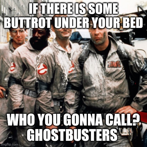 Buttrot under your bed | IF THERE IS SOME BUTTROT UNDER YOUR BED; WHO YOU GONNA CALL?
GHOSTBUSTERS | image tagged in ghostbusters | made w/ Imgflip meme maker