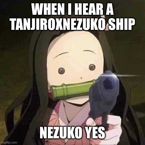 NEZUKO YESSSSSSSSSSSS | WHEN I HEAR A TANJIROXNEZUKO SHIP; NEZUKO YES | image tagged in nezuko nooooo | made w/ Imgflip meme maker