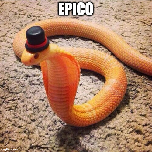 Dapper Snek | EPICO | image tagged in dapper snek | made w/ Imgflip meme maker