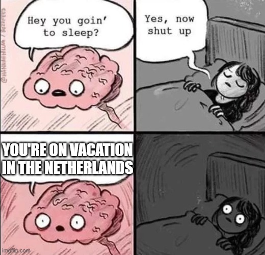 *girl was killed by [intentional game design]* | YOU'RE ON VACATION IN THE NETHERLANDS | image tagged in waking up brain,the nether | made w/ Imgflip meme maker