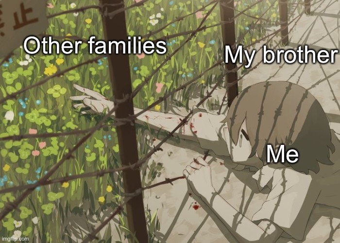 He’s just really annoying and it’s a long story and idk | Other families; My brother; Me | image tagged in avogado6 depression | made w/ Imgflip meme maker