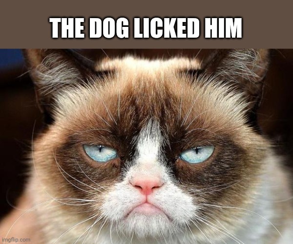 Grumpy Cat Not Amused Meme | THE DOG LICKED HIM | image tagged in memes,grumpy cat not amused,grumpy cat | made w/ Imgflip meme maker