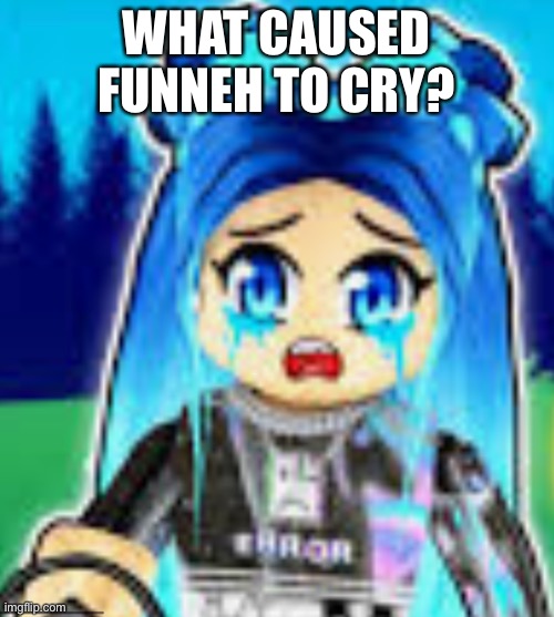 To NumberblockFan | WHAT CAUSED FUNNEH TO CRY? | image tagged in sad funneh | made w/ Imgflip meme maker