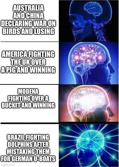 History at its finest | AUSTRALIA AND CHINA DECLARING WAR ON BIRDS AND LOSING; AMERICA FIGHTING THE UK OVER A PIG AND WINNING; MODENA FIGHTING OVER A BUCKET AND WINNING; BRAZIL FIGHTING DOLPHINS AFTER MISTAKING THEM FOR GERMAN U-BOATS | image tagged in memes | made w/ Imgflip meme maker