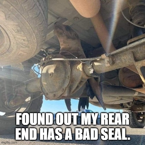 Rear End With A Bad Seal | FOUND OUT MY REAR END HAS A BAD SEAL. | image tagged in bad seal,rear end | made w/ Imgflip meme maker