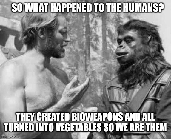 Where did the humans go? | SO WHAT HAPPENED TO THE HUMANS? THEY CREATED BIOWEAPONS AND ALL TURNED INTO VEGETABLES SO WE ARE THEM | image tagged in planeta de los simios,planetoftheapes,human,humans | made w/ Imgflip meme maker