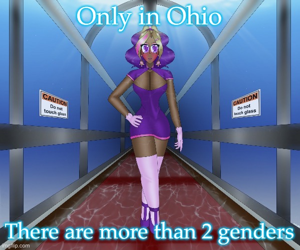 Kashiko in the underwater hall | Only in Ohio; There are more than 2 genders | image tagged in kashiko in the underwater hall | made w/ Imgflip meme maker