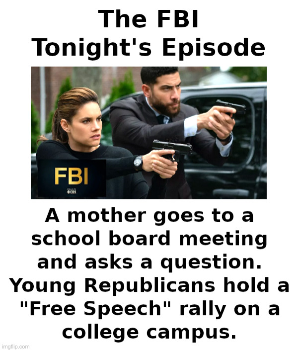 The FBI Tonight's Episode | image tagged in fbi,government,corruption,mom,apple pie,the flag | made w/ Imgflip meme maker