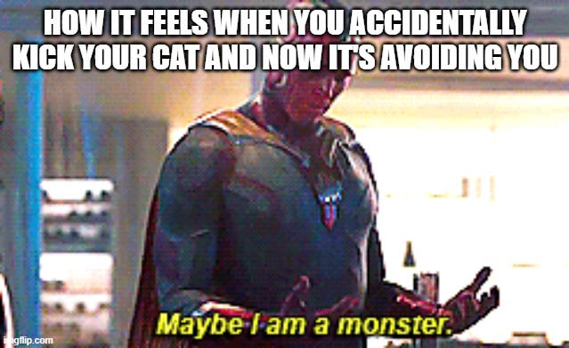 No kitty I didn't mean it please love me. | HOW IT FEELS WHEN YOU ACCIDENTALLY KICK YOUR CAT AND NOW IT'S AVOIDING YOU | image tagged in maybe i am a monster,cat,monster | made w/ Imgflip meme maker