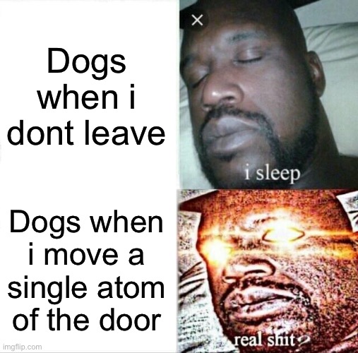 d o g | Dogs when i dont leave; Dogs when i move a single atom of the door | image tagged in memes,sleeping shaq | made w/ Imgflip meme maker