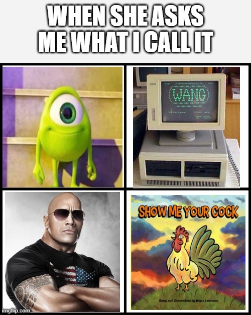 What's in a Name? | WHEN SHE ASKS ME WHAT I CALL IT | image tagged in blank drake format | made w/ Imgflip meme maker