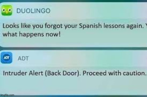 no comment | image tagged in duo gets mad,duolingo | made w/ Imgflip meme maker