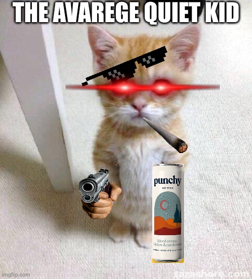 Cute Cat | THE AVAREGE QUIET KID | image tagged in memes,cute cat | made w/ Imgflip meme maker