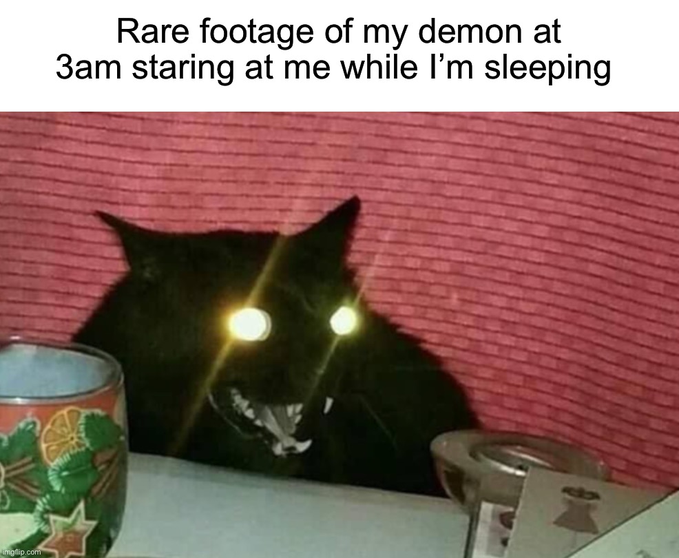 STOP WATCHING ME HEUSHJSNQJJWNDKMDKJI |  Rare footage of my demon at 3am staring at me while I’m sleeping | image tagged in memes,funny,cats,demon,relatable memes,true story | made w/ Imgflip meme maker