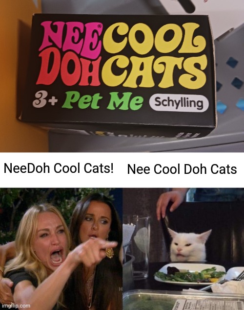 Saw this at a Walmart | NeeDoh Cool Cats! Nee Cool Doh Cats | image tagged in memes,woman yelling at cat | made w/ Imgflip meme maker