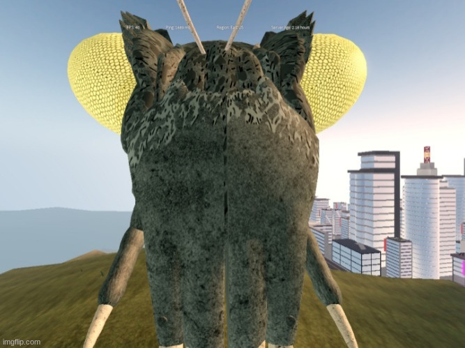 "are u a bugs" | made w/ Imgflip meme maker