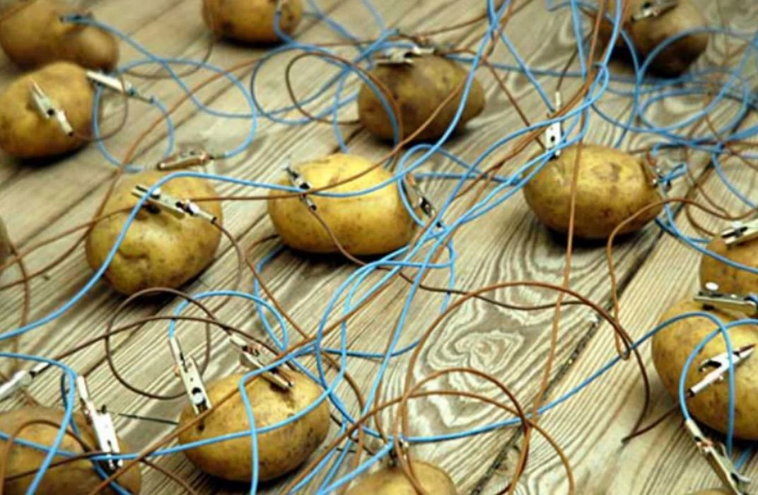 High Quality potatoes connected with cables Blank Meme Template