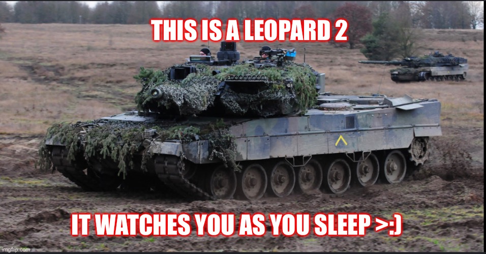 Leopard 2 | THIS IS A LEOPARD 2; IT WATCHES YOU AS YOU SLEEP >:) | image tagged in excuse me wtf blank template | made w/ Imgflip meme maker