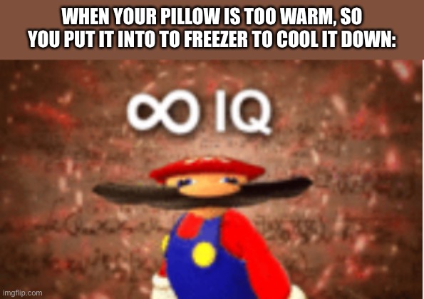 Big Brain Time | WHEN YOUR PILLOW IS TOO WARM, SO YOU PUT IT INTO TO FREEZER TO COOL IT DOWN: | image tagged in infinite iq,memes,funny,pillow,freezer,relatable | made w/ Imgflip meme maker