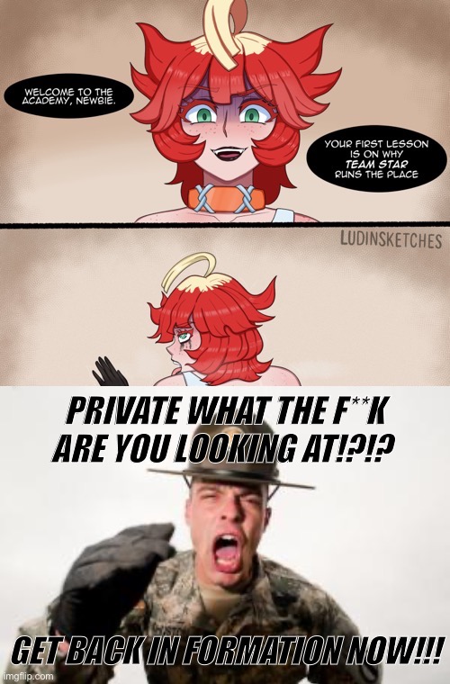 PRIVATE WHAT THE F**K ARE YOU LOOKING AT!?!? GET BACK IN FORMATION NOW!!! | image tagged in drill sargent,wtf,what are you looking at,meme,offensive | made w/ Imgflip meme maker
