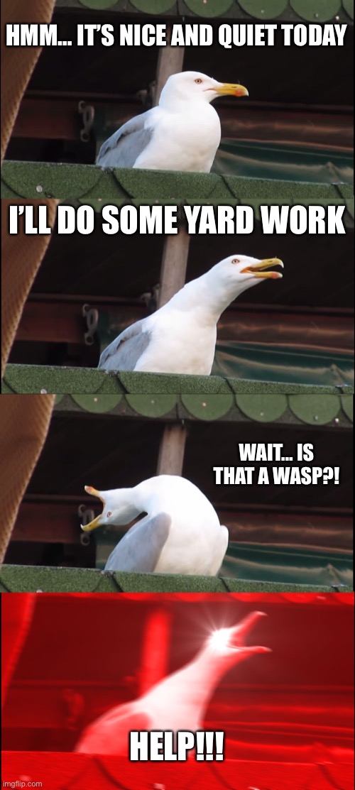 When a wasp shows up… | HMM… IT’S NICE AND QUIET TODAY; I’LL DO SOME YARD WORK; WAIT… IS THAT A WASP?! HELP!!! | image tagged in memes,inhaling seagull,wasp | made w/ Imgflip meme maker