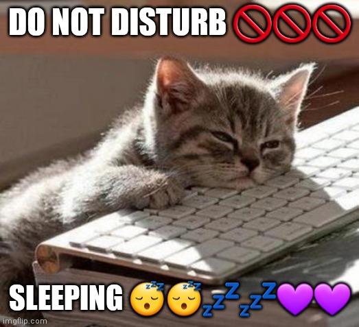 tired cat | DO NOT DISTURB 🚫🚫🚫; SLEEPING 😴😴💤💤💜💜 | image tagged in tired cat | made w/ Imgflip meme maker