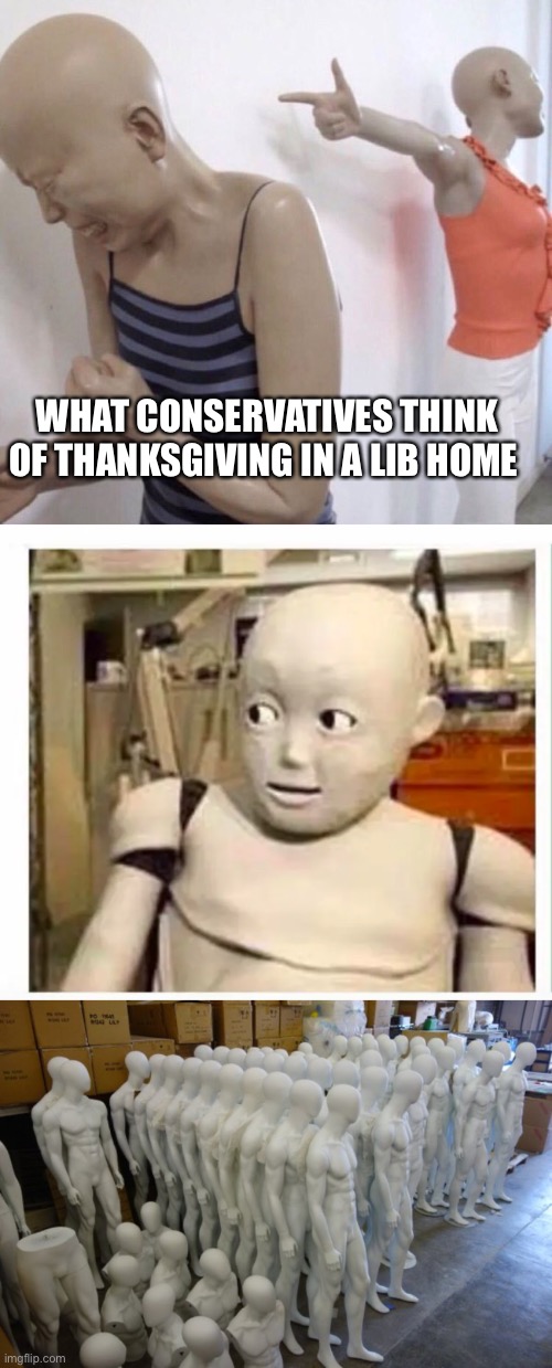 WHAT CONSERVATIVES THINK OF THANKSGIVING IN A LIB HOME | image tagged in pointing mannequin,exam mannequin,mannequin | made w/ Imgflip meme maker