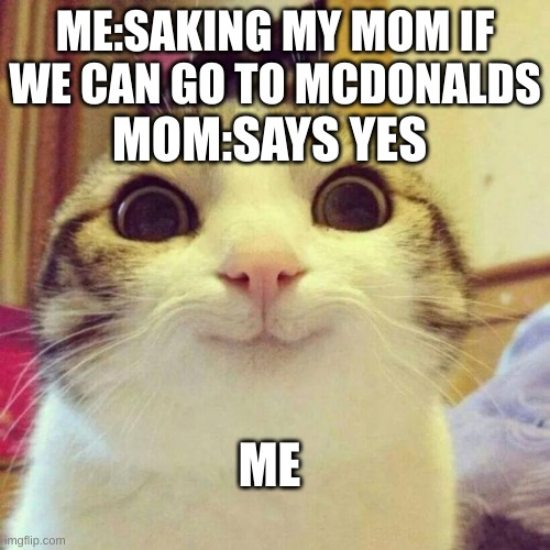 irl | ME:SAKING MY MOM IF WE CAN GO TO MCDONALDS; MOM:SAYS YES; ME | image tagged in memes,smiling cat | made w/ Imgflip meme maker