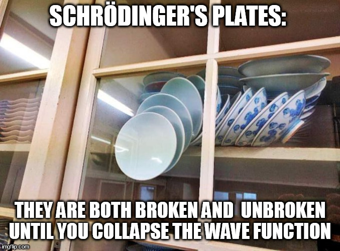 is, is not | SCHRÖDINGER'S PLATES:; THEY ARE BOTH BROKEN AND  UNBROKEN UNTIL YOU COLLAPSE THE WAVE FUNCTION | image tagged in is is not | made w/ Imgflip meme maker