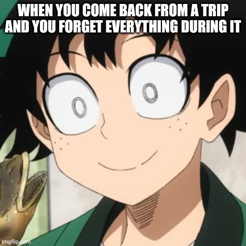 Triggered Deku | WHEN YOU COME BACK FROM A TRIP AND YOU FORGET EVERYTHING DURING IT | image tagged in triggered deku | made w/ Imgflip meme maker