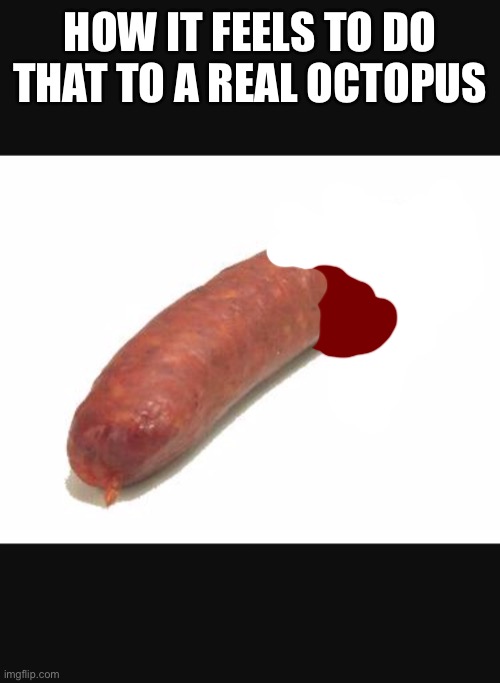 Mexican sausage | HOW IT FEELS TO DO THAT TO A REAL OCTOPUS | image tagged in mexican sausage | made w/ Imgflip meme maker