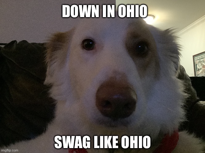 Ohio man | DOWN IN OHIO; SWAG LIKE OHIO | image tagged in fun,brian,astrobrady | made w/ Imgflip meme maker