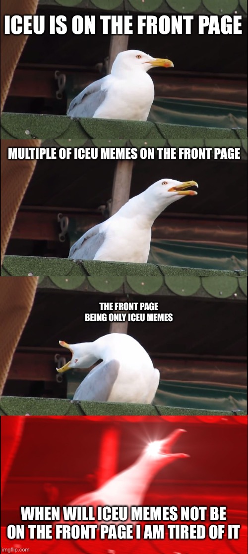 Iceu | ICEU IS ON THE FRONT PAGE; MULTIPLE OF ICEU MEMES ON THE FRONT PAGE; THE FRONT PAGE BEING ONLY ICEU MEMES; WHEN WILL ICEU MEMES NOT BE ON THE FRONT PAGE I AM TIRED OF IT | image tagged in memes,inhaling seagull | made w/ Imgflip meme maker