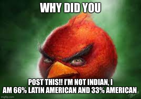 Completely facts. From comment | WHY DID YOU POST THIS!! I’M NOT INDIAN, I AM 66% LATIN AMERICAN AND 33% AMERICAN | image tagged in realistic red angry birds | made w/ Imgflip meme maker