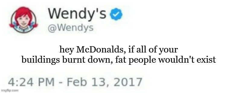 wendy's savage tweet of the day | hey McDonalds, if all of your buildings burnt down, fat people wouldn't exist | image tagged in wendy's twitter,memes | made w/ Imgflip meme maker