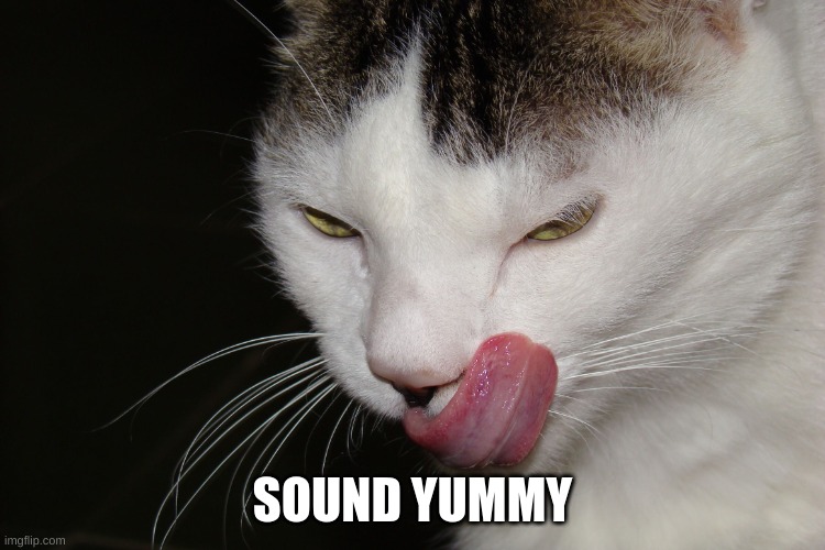 YUMMY | SOUND YUMMY | image tagged in yummy | made w/ Imgflip meme maker