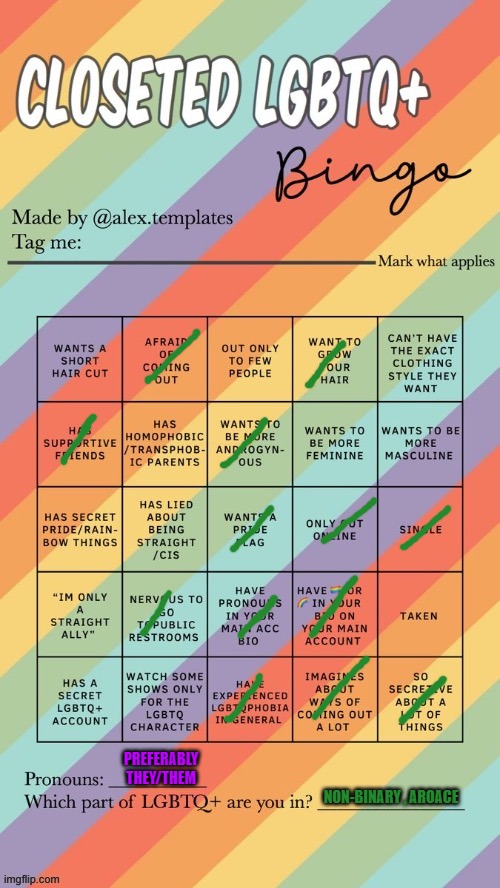 I finally decided to do one of these. | PREFERABLY THEY/THEM; NON-BINARY , AROACE | image tagged in closeted lgbtq bingo,lgbtq,memes | made w/ Imgflip meme maker