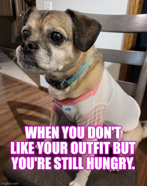 When you don't like your outfit | WHEN YOU DON'T LIKE YOUR OUTFIT BUT YOU'RE STILL HUNGRY. | made w/ Imgflip meme maker