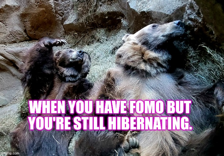 FOMO | WHEN YOU HAVE FOMO BUT YOU'RE STILL HIBERNATING. | made w/ Imgflip meme maker