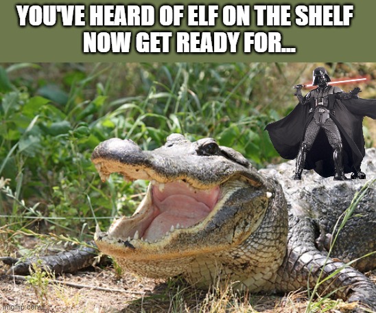 You've heard of Elf on the Shelf | YOU'VE HEARD OF ELF ON THE SHELF 

 NOW GET READY FOR... | made w/ Imgflip meme maker