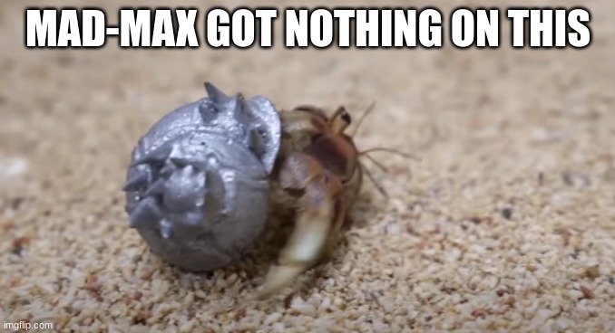 Mad max got nothing | MAD-MAX GOT NOTHING ON THIS | image tagged in cool | made w/ Imgflip meme maker