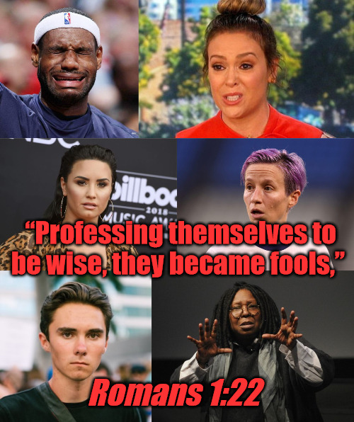 Wise Fools | “Professing themselves to be wise, they became fools,”; Romans 1:22 | image tagged in whoopi goldberg,david hogg,alyssa milano,lebron james | made w/ Imgflip meme maker