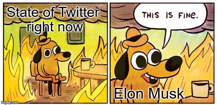 Twitter right now | State of Twitter 
right now; Elon Musk | image tagged in memes,this is fine | made w/ Imgflip meme maker