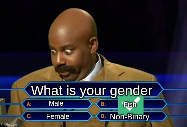 Millionare | What is your gender; Male; Fish; Non-Binary; Female | image tagged in who wants to be a millionaire,funny | made w/ Imgflip meme maker