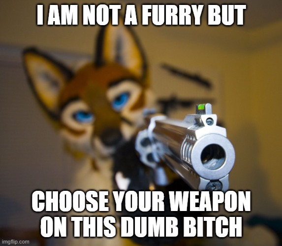 finish him | I AM NOT A FURRY BUT; CHOOSE YOUR WEAPON ON THIS DUMB BITCH | image tagged in furry with gun | made w/ Imgflip meme maker