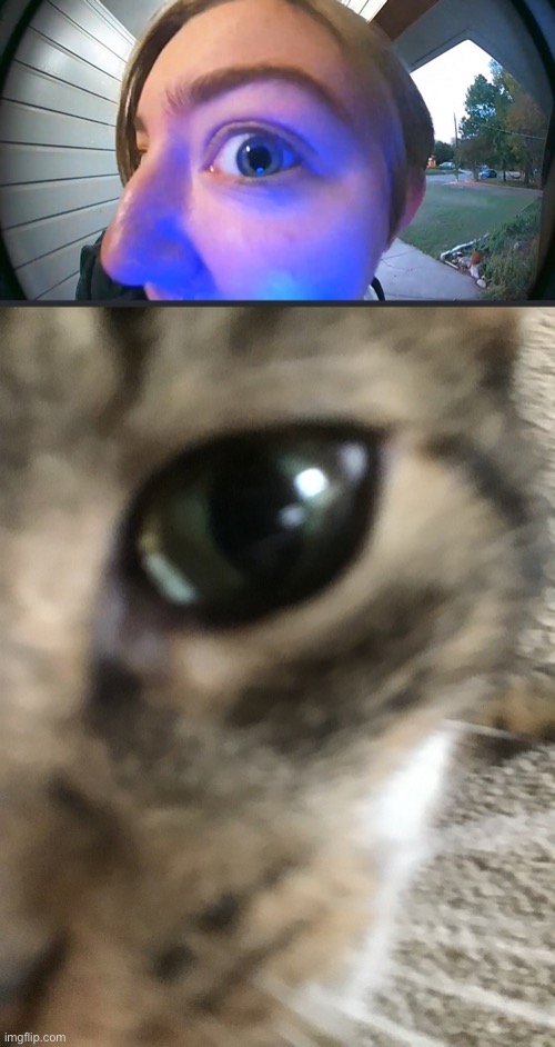 Same vibes | made w/ Imgflip meme maker