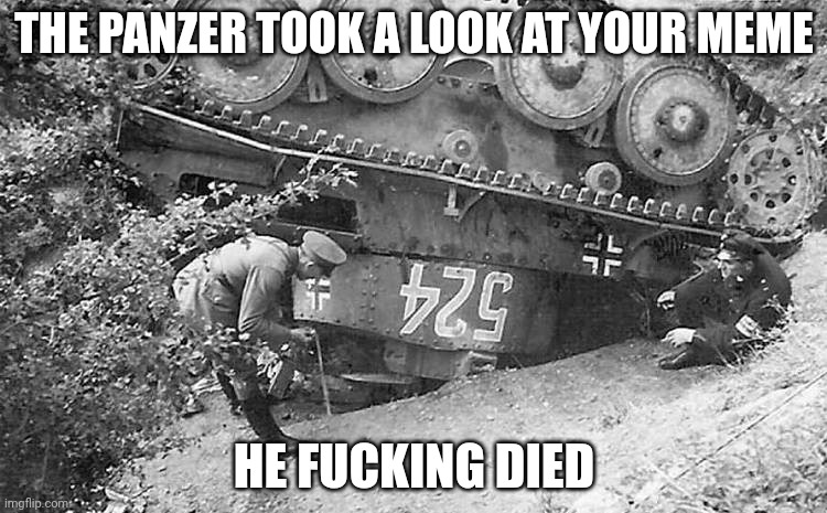 Panzer died | THE PANZER TOOK A LOOK AT YOUR MEME HE FUCKING DIED | image tagged in flipped panzer | made w/ Imgflip meme maker